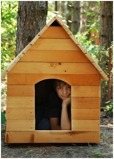 Free DIY Dog House Plans - Choose from thirty eight great designs.