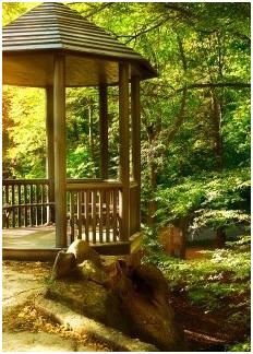 Free Gazebo, Pergola and Arbor Plans - Grace your landscape with any of over fifty beautiful designs.