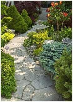 Free DIY Landscape Improvement Plans and Guides - 300+ Projects for Your Yard