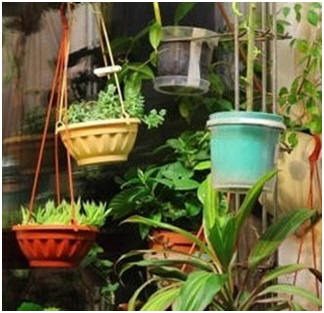 Free Apartment, Indoor and Small Space Gardening Guides - Learn how you can have a beautiful, bountiful garden indoors, in your apartment, on a deck, porch or patio, or in the tiniest of outdoor spaces. 