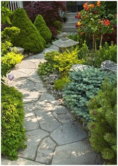 Free Landscaping Guides - Learn how to make your own stone or brick walkways and patios. Learn how to build Koi ponds and water gardens. Get hundreds of free landscape project plans.