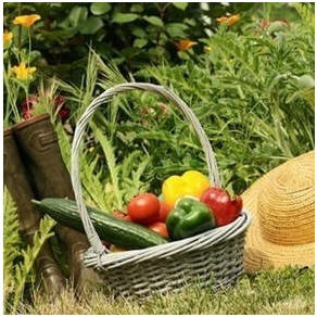 Free Kitchen Gardening Guidea - Here are a bunch of free hints, tips, guides and good advice that will help you create and maintain a bountiful backyard vegetable garden.