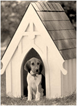 Free American Gothic Style Dog House Plans from SouthernPine.com -  This free isometric drawing shows all of the boards you need, cutting angles and gingerbread trim details.