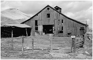 Horse Barn Designs from the Historic American Building Survey - View and print photos, floor plans, exterior elevations and construction details of historic American farm and ranch horse barns. 