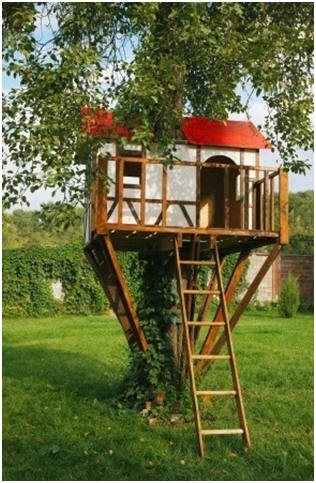 Learn How to Build a Treehouse - Use practical, free, do-it-yourself  advice, from TreehouseGuide.com, to help you build your own treehouse safely and with the minimum cost and hassle. 